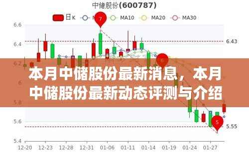 本月中储股份最新动态,评测与详细介绍