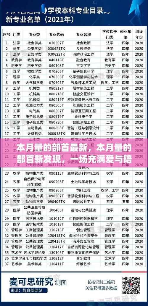 爱与陪伴的奇妙冒险之旅，最新部首发现揭秘本月量的奥秘