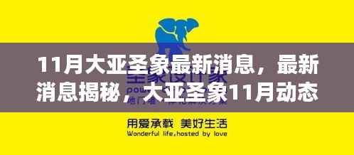 大亚圣象11月最新动态揭秘,任务指南与技能学习全攻略发布