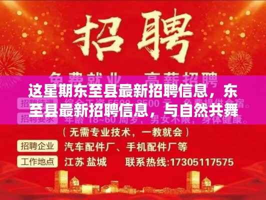 东至县最新招聘信息,与自然共舞,启程寻找内心的宁静之旅招聘启事