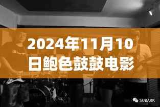 鲍色鼓鼓电影日,友情、温馨与美好时光的记录(2024年11月10日最新)