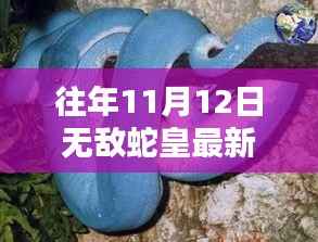 无敌蛇皇,十一月秘密与友情的温暖日常(最新更新)