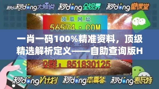 一肖一码100%精准资料,顶级精选解析定义——自助查询版HOU688.73