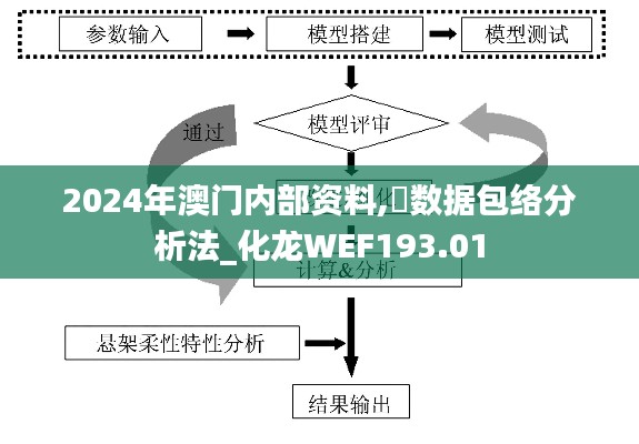 2024年澳门内部资料,数据包络分析法_化龙WEF193.01