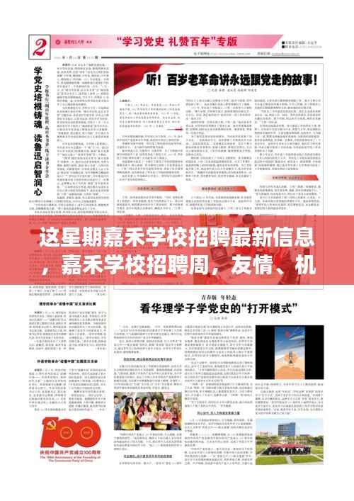 嘉禾学校招聘周,友情、机遇与成长的交汇点