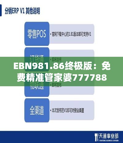 EBN981.86终极版:免费精准管家婆7777888888安全策略深度解析