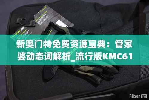 新奥门特免费资源宝典：管家婆动态词解析_流行版KMC617.02