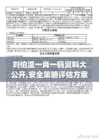 刘伯温一肖一码资料大公开,安全策略评估方案_YFM40.18天武境