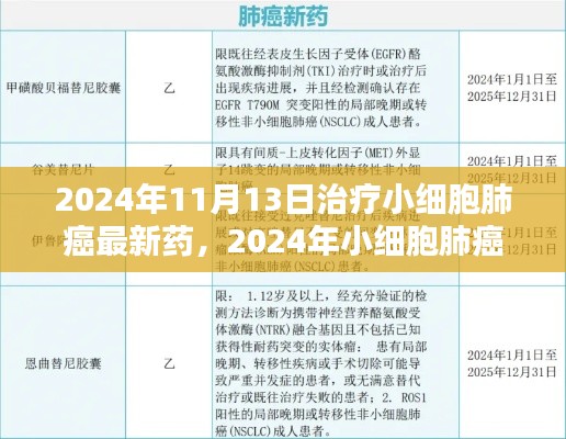 2024年小细胞肺癌治疗新药全面解析与用户体验，最新药物评测及疗效展望