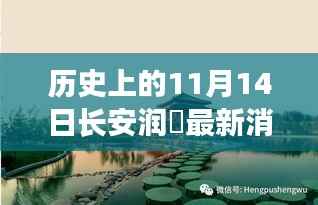 长安润璟秘境探索，历史与美食的碰撞时刻，最新消息揭秘秘密小店