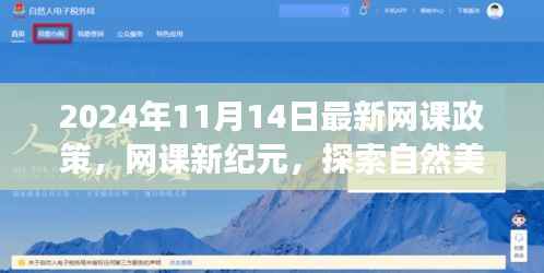 2024网课新纪元，探索自然美景与心灵之旅的新课标