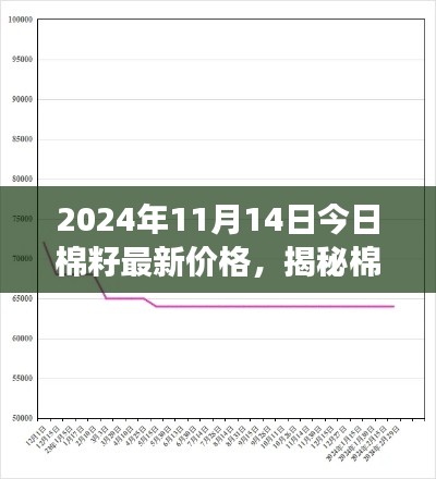 揭秘棉籽市场走势，最新价格动态分析与预测（2024年11月14日）