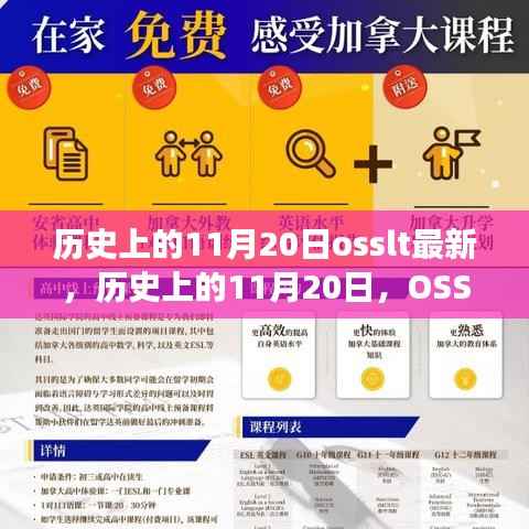 历史上的11月20日，最新回顾与OSSLT发展概览