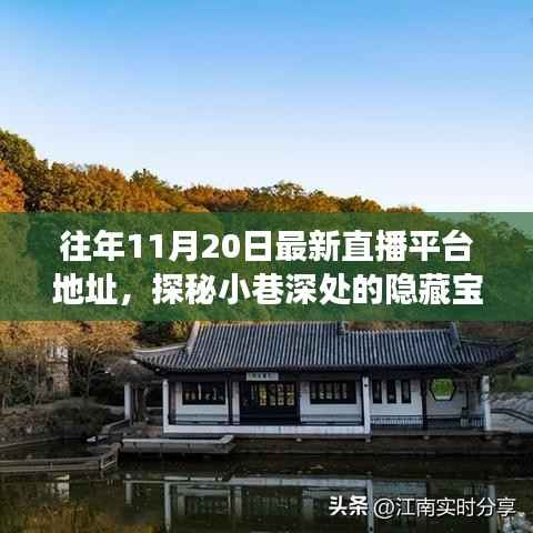 探秘小巷深处的宝藏,十一月二十日最新直播平台独特魅力之旅的地址分享