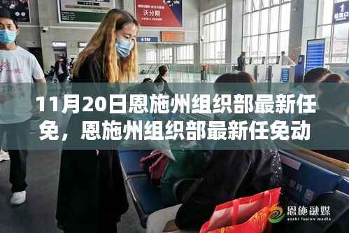 恩施州组织部最新任免动态解析及用户群体分析,特性、体验与竞品对比报告