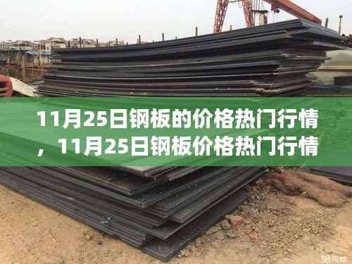 11月25日钢板价格行情深度解析,市场波动与多方观点透视