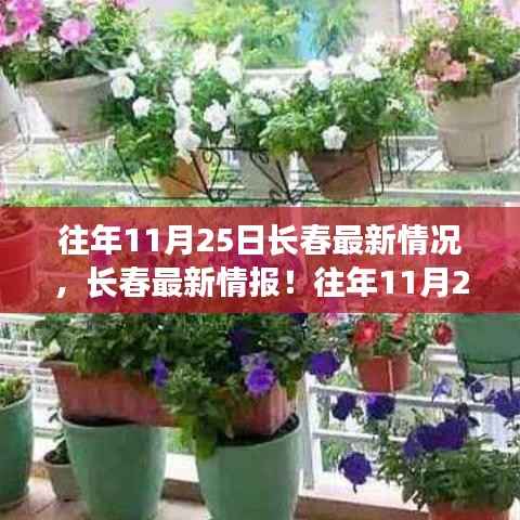 『深秋魅力展现,长春历年11月25日最新情报深度解析』