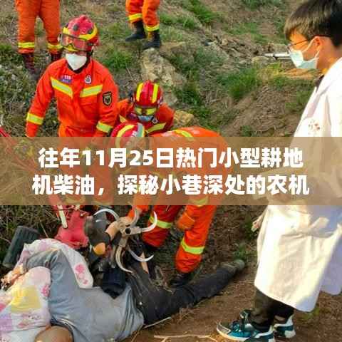 花开无言 第16页