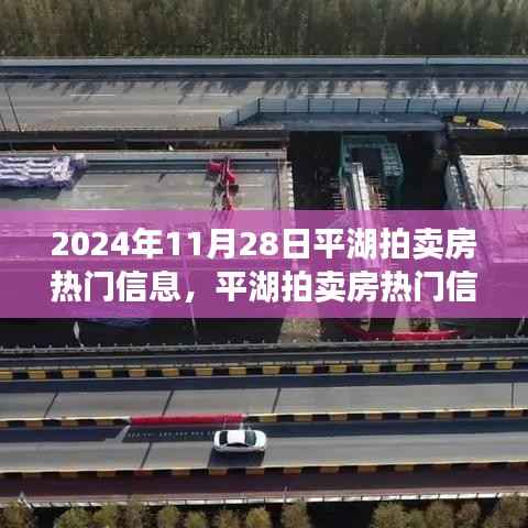 平湖拍卖房热门信息揭秘,回顾与展望,影响深远!