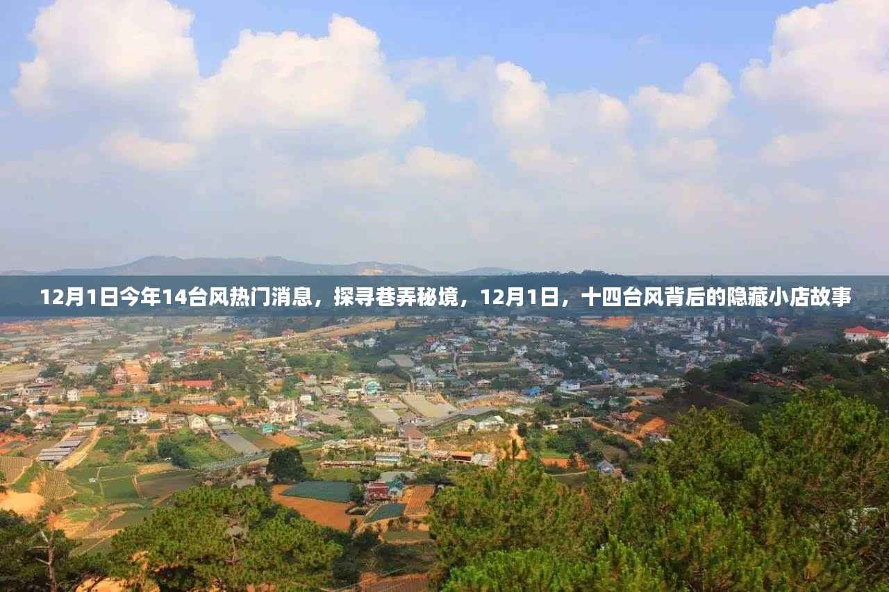 揭秘台风背后的隐藏小店故事,探寻巷弄秘境,台风热门消息一览
