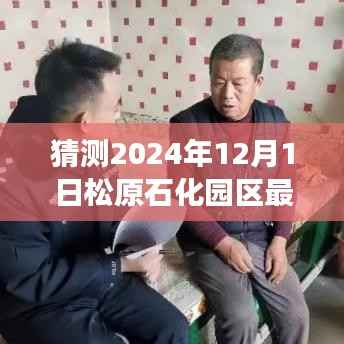 松原石化园区未来展望,解析松原石化园区最新动态与未来发展趋势(预测至2024年12月)