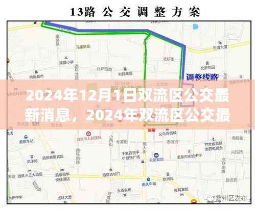2024年双流区公交最新消息详解,获取与使用公交服务的全面指南