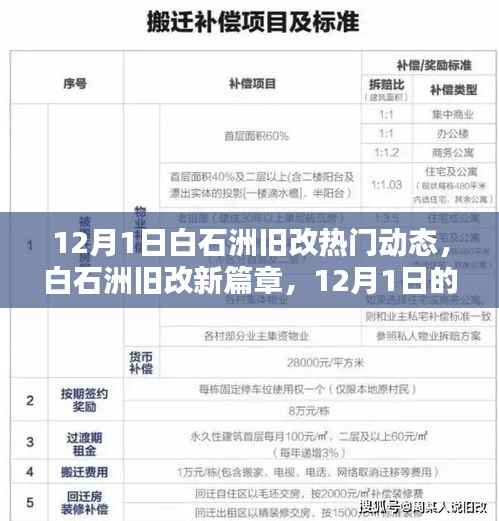 白石洲旧改新篇章,12月1日的日常与友情印记,热议动态揭秘