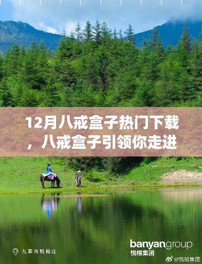 八戒盒子引领心灵之旅,12月热门下载开启自然美景探索之旅