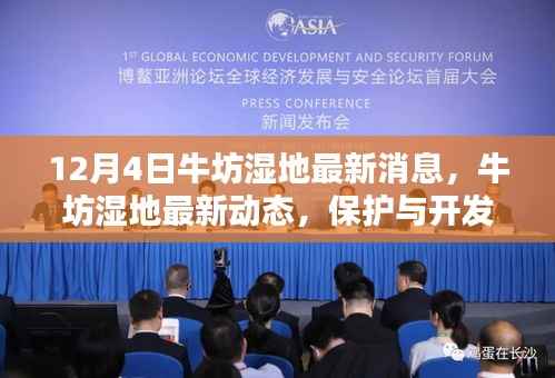 牛坊湿地最新动态,保护与开发的平衡之道揭秘