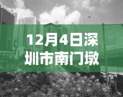 深圳市南门墩12月4日最新动态详解与任务技能指南