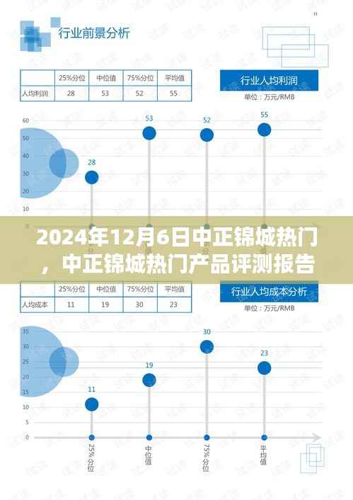 2024年12月6日中正锦城热门,中正锦城热门产品评测报告——深度解析与用户体验分享(XXXX年XX月XX日版)