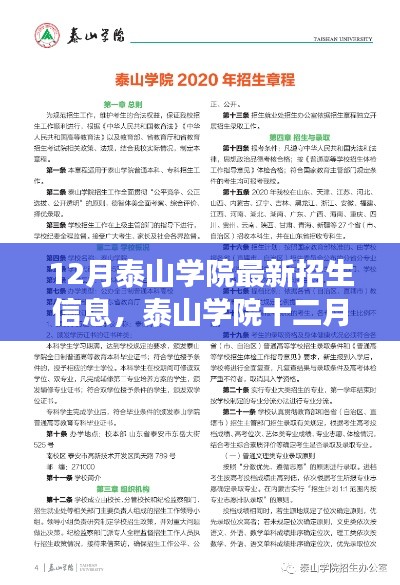 泰山学院最新招生信息解读与观点阐述(十二月版)