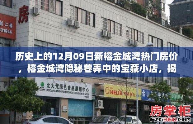 揭秘榕金城湾宝藏小店与历史房价之旅,热门房产回顾与巷弄探索
