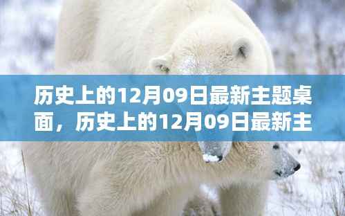 历史上的12月09日主题桌面全面评测与介绍