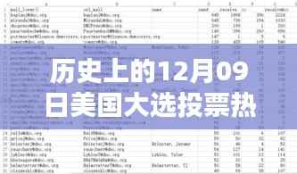 美国大选投票热门数据深度解析，历史上的十二月九日回顾与解析