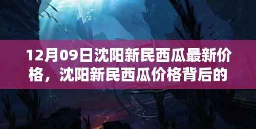 沈阳新民西瓜最新价格与科技魔力,智能报价系统体验报告(12月版)