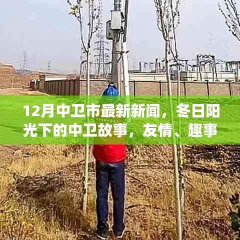 中卫市最新新闻，冬日阳光下的温情故事与家的温暖