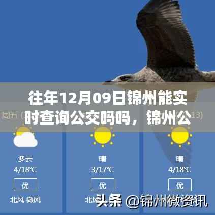 花开无言 第5页