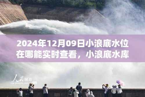 科技引领未来，实时掌握小浪底水库水位动态监测数据（实时更新至2024年12月09日）