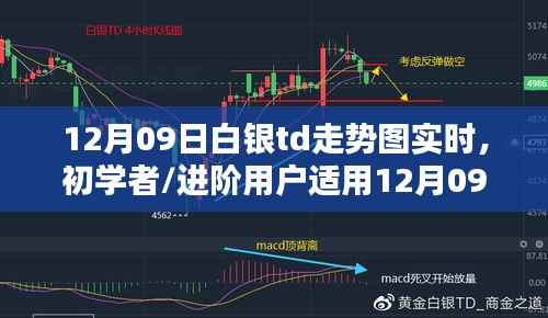12月09日白银TD走势图实时分析指南,适合初学者与进阶用户