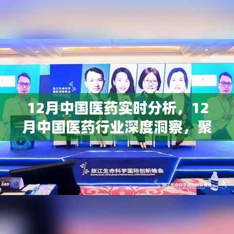 聚焦实时分析,探寻中国医药行业深度洞察与发展之路