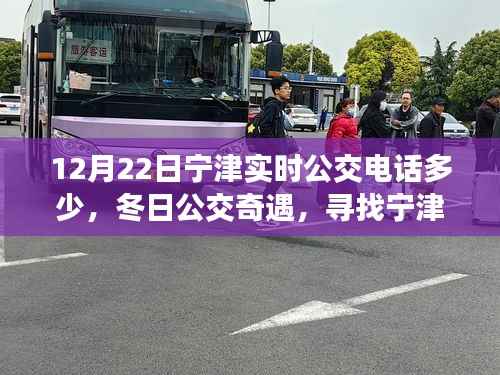 冬日宁津公交奇遇,寻找实时热线,体验温暖的公交服务