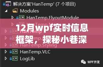 探秘十二月小巷深处的WPF实时信息小铺,一场别样的信息体验之旅