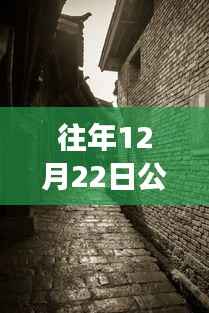 探秘宝藏店，公路云实时监控软件下载新体验，12月22日实时下载探秘小巷深处之旅