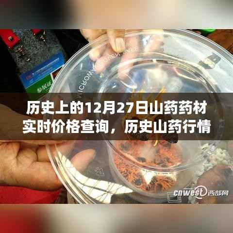 十二月二十七日山药药材之旅，历史实时价格查询与行情揭秘，探寻内心平静的旅程