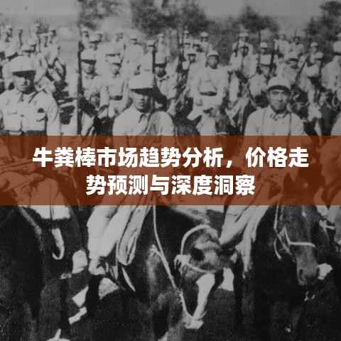 牛粪棒市场趋势分析,价格走势预测与深度洞察
