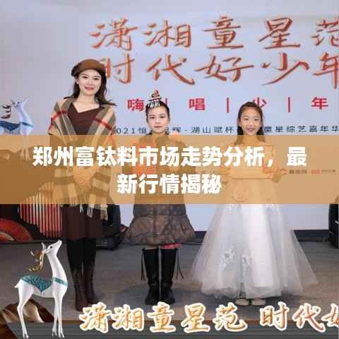 郑州富钛料市场走势分析,最新行情揭秘