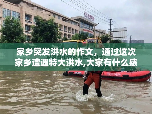 家乡突发洪水的作文,通过这次家乡遭遇特大洪水,大家有什么感想?