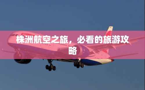株洲航空之旅,必看的旅游攻略
