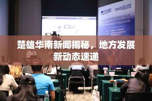 楚雄华南新闻揭秘,地方发展新动态速递